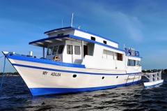 Azalea Philippines Liveaboard
