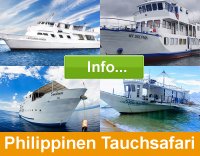 Philippinen Tauchsafari